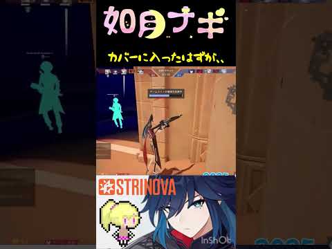 thumbnail_SHDZ6yDUu7o