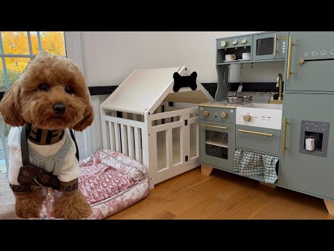 luxury puppy playpen setup! 