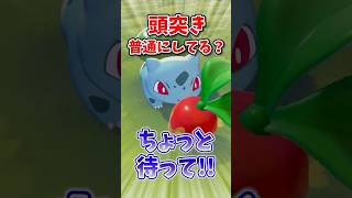 短押し頭突きで木の実を回収してる人、ちょっと待ってください！！ #ぽこあポケモン  #ぽこポケ