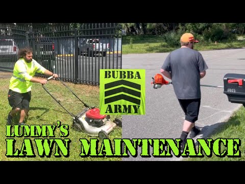 Lawn Maintenance w/ Lummy - BTLS Vlog