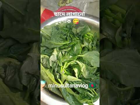 ইলিশ মাছের মাথা দিয়ে নিজের হাতের পুঁইশাক রান্না করব😋#minusultanavlog #food #reels #shorts #fypシ#শাক