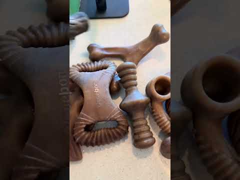 Caught my German Shepherd loving his new Benebone 7-Pack Chew Set! 🦴 Real flavor, no smell, and