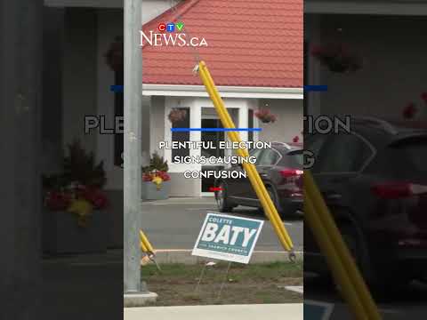 Plentiful election signs causing confusion