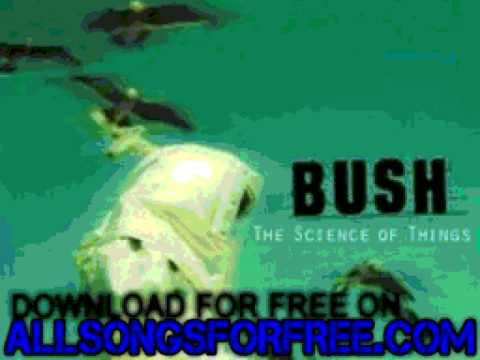 Bush - English Fire