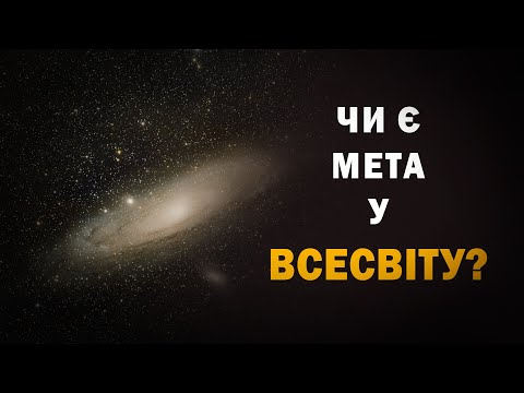 Чи є мета у Всесвіту? Ніл Деграсс Тайсон