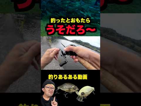 釣ったぞ!!と思った瞬間ウソだろ〜ってなる釣りあるある動画#バス釣り #魚釣り