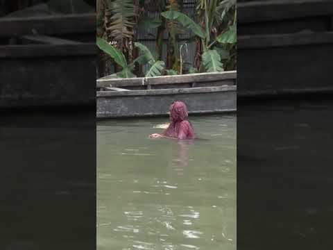 Bangladesh hit by heavy monsoon flooding