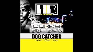 Hot Bananas - Dog Catcher / Run Run Run (Sharam Jey Remix)
