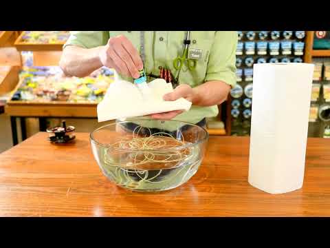 ORVIS Tackle Tune-Up 2022: Fly-Line Maintenance