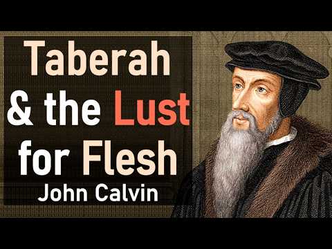 Taberah & the Lust for Flesh: Harmony of the Law, Vol. 4 - John Calvin