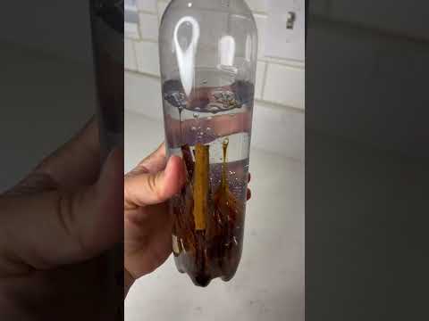 Shampoo de cafe y canela