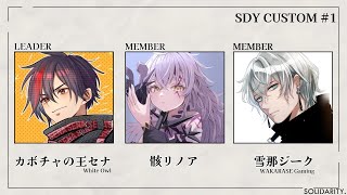 【Apex Legends】SDY CUSTOM #1 【PC/PAD】【Vtuber/雪那ジーク/骸リノア/カボチャの王セナ】