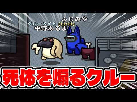 これがどういう状況か当てれたら100万あげます【AmongUs / 宇宙人狼】