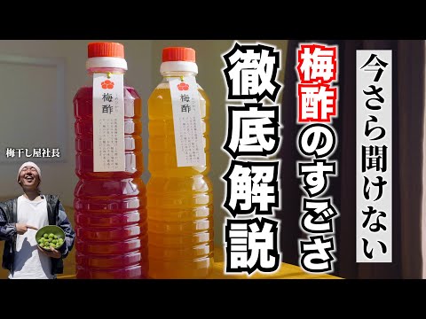 【徹底解説】いまさら聞けない梅酢の基礎知識。栄養から活用法まで