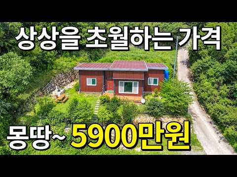 2022년식 주택+넓은마당 몽땅~5,900만원에 가져가세요 이런게 진짜 횡재입니다