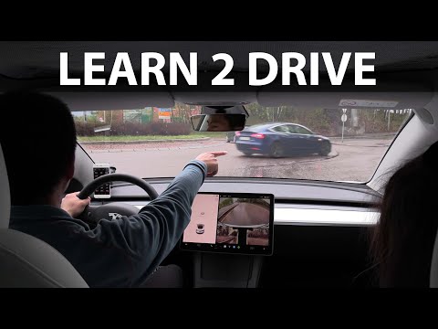 Teslabjørn teaching Maya how to drive in Norway