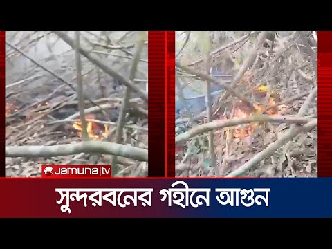 সুন্দরবনের গহীনে আগুন! | Fire inside Sundarbans | Jamuna TV