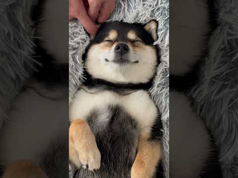 #2 Tiếp tục massage... thư giãn