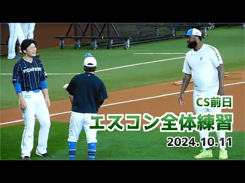 【日本ハム】CS前日 エスコン全体練習の様子【2024年10月11日】
