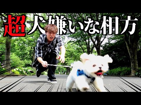 デート相手が美女と見せかけて大嫌いな犬ドッキリwwww