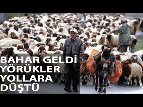 Baharın Gelmesiyle Yörüklerin Göçü Başladı