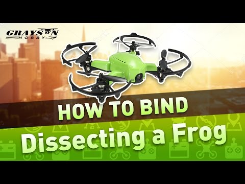 Eachine Q90 Frog | How to Bind FlySky Radio | Best Brushed Micro Quad for FPV - UCf_qcnFVTGkC54qYmuLdUKA