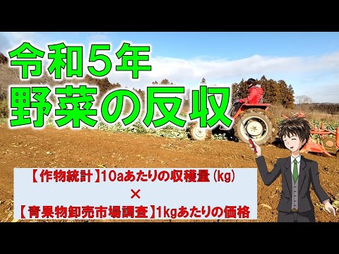 【野菜の反収】お米と同じ様に野菜も上がっている！？