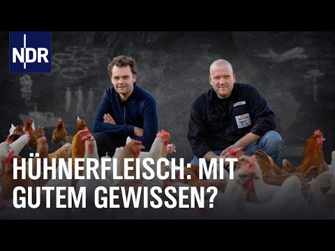 Was kannst du tun fürs Huhn? (S02/E04) | The Green Garage | NDR Doku