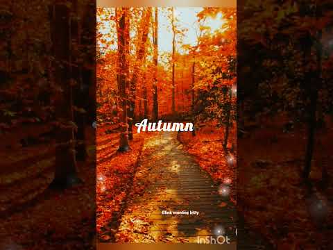 comment ✨ #music #song #newmusic #slowedandreverb #reverb #gabriela #katseye #slowed #kpop #cover