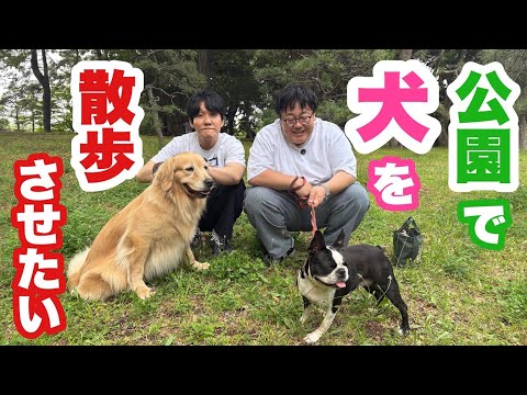 始めてのレンタルドッグで癒されたい