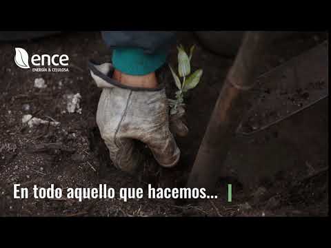 imagen4