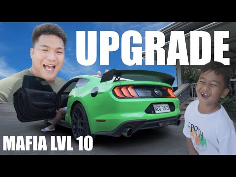 MAFIA LEVEL10(MUSTANG UPGRADE)
