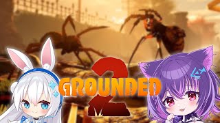 【GROUNDED 2】we saw roaches.... bonking it with @ShirousaMikumi !【#Angy