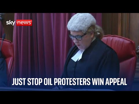 Just Stop Oil protesters appeal against jail terms