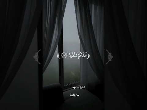 سورة البقرة | القارئ رعد الكردي