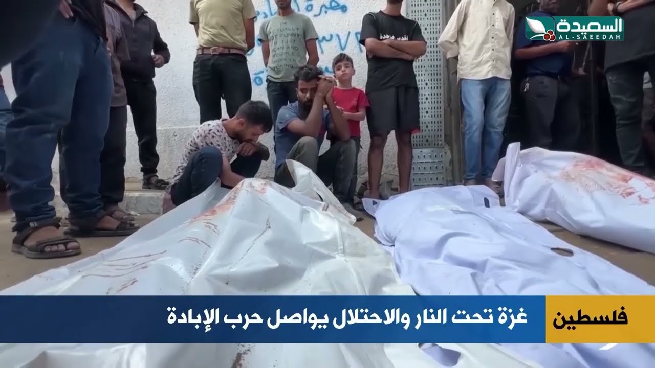 قناة السعيدة