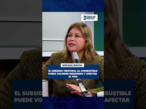 ROXANA ROCHA: EL SUBSIDIO TEMPORAL AL COMBUSTIBLE PUEDE VOLVERSE INDEFINIDO Y AFECTAR AL PAÍS