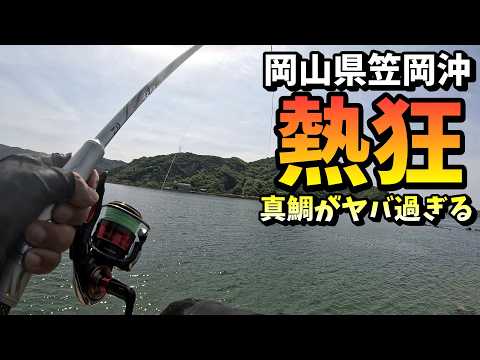 真鯛フィーバーの中からチヌを引きずり出す！in 岡山県笠岡沖