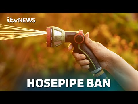 Is there a hosepipe ban in my area, and which regions could be affected next? | ITV News