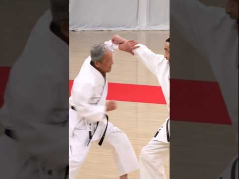 itosu ryu karate #karate
