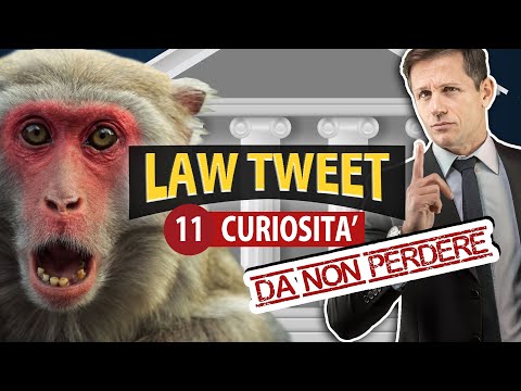 LAW TWEET: 11 curiosità da no perdere | Avv. Angelo Greco