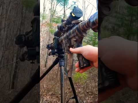 Your average Public Hunt