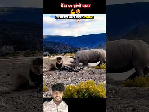 गैंडा हांथी पावर💪 #animals #rhino #rhinoceros #hunting #janwar #elephant #power #short #shorts #lion