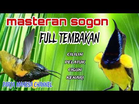 MASTERAN SOGON FULL ISIAN MEWAH - AUDIO SUPER JERNIH