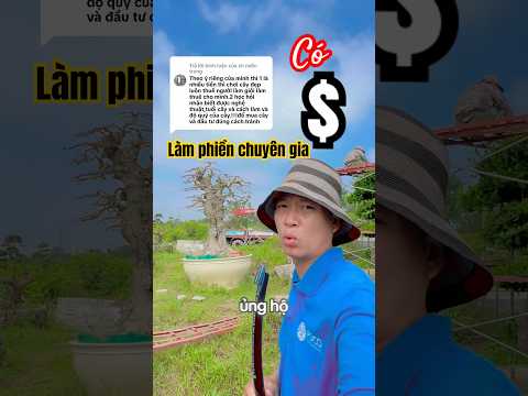 Có tiền làm phiền Chuyên gia #tuanbonsai #cắt_sửa_cây_cảnh