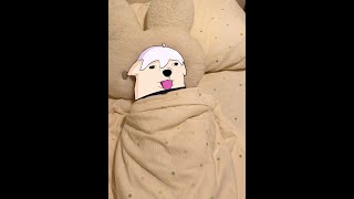 ¿LLEGAREMOS A NUESTRO DESTINO EN ESTA OCASION?