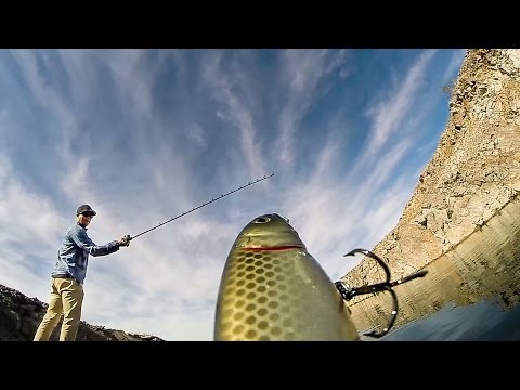 GoPro: Brent Ehrler - An Angler's Joy - UCqhnX4jA0A5paNd1v-zEysw