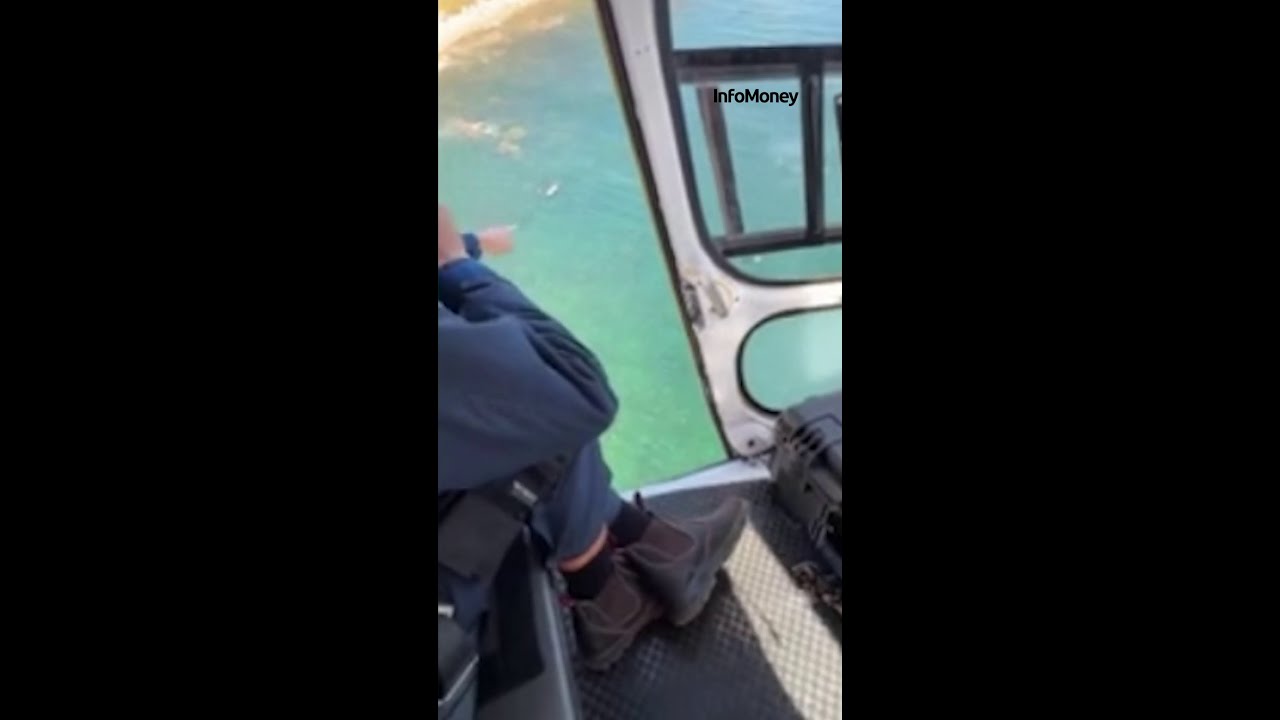 Tubarão de 4,5 metros cerca casal no mar e mobiliza resgate de helicóptero