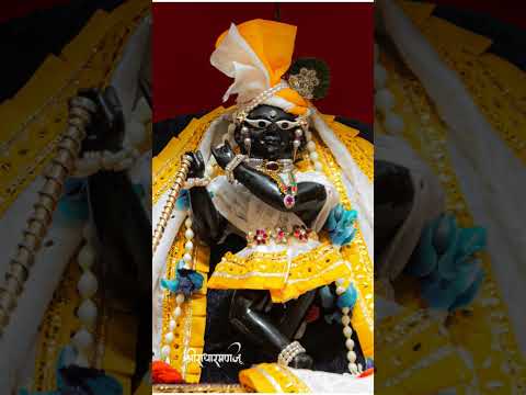 राधा रमन हरि बोल 🙏🙏#vrindavandham #राधेकृष्ण