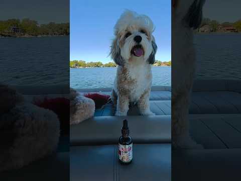 Radz is staying ahead of UTIs with the help of @tobydic_brand_ and their Urinary Tract Support